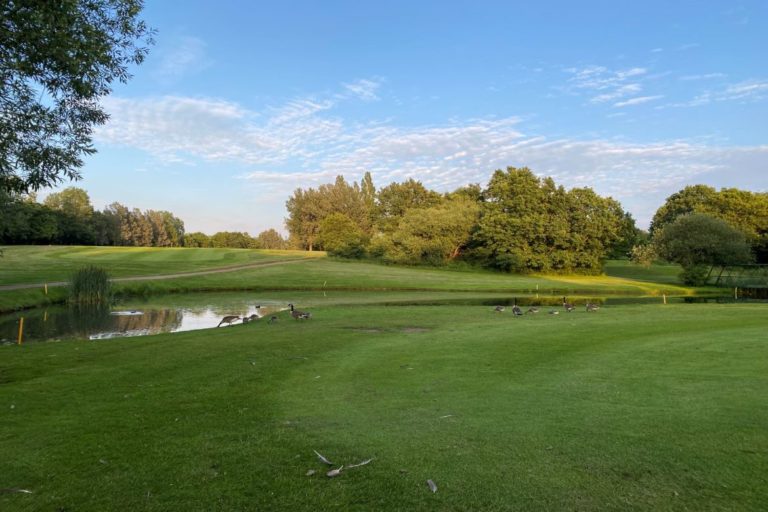 5_Golf_1170x780